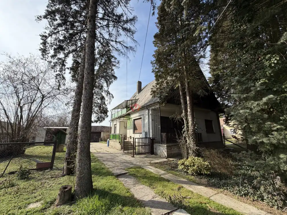 Zala megye - Nagykanizsa-Palin