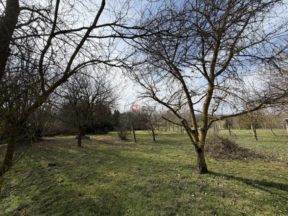 Zala megye - Nagykanizsa-Palin