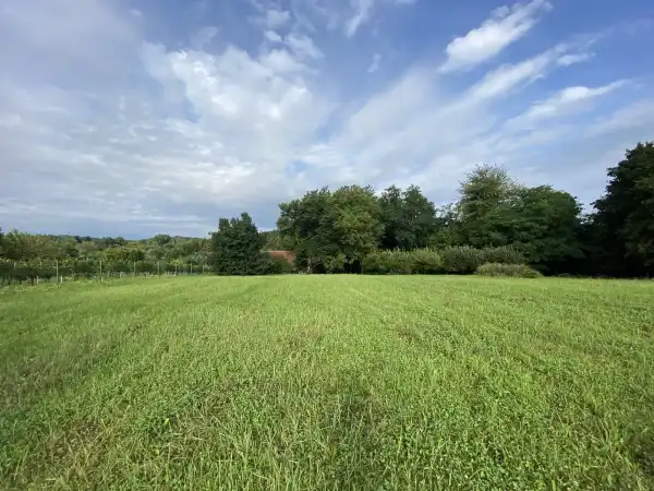 Eladó Gyep, Zalasárszeg 14949 m² 10.5 M Ft