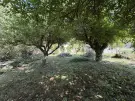 Zala megye - Zalasárszeg