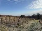 Somogy megye - Iharosberény