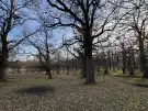 Somogy megye - Iharosberény