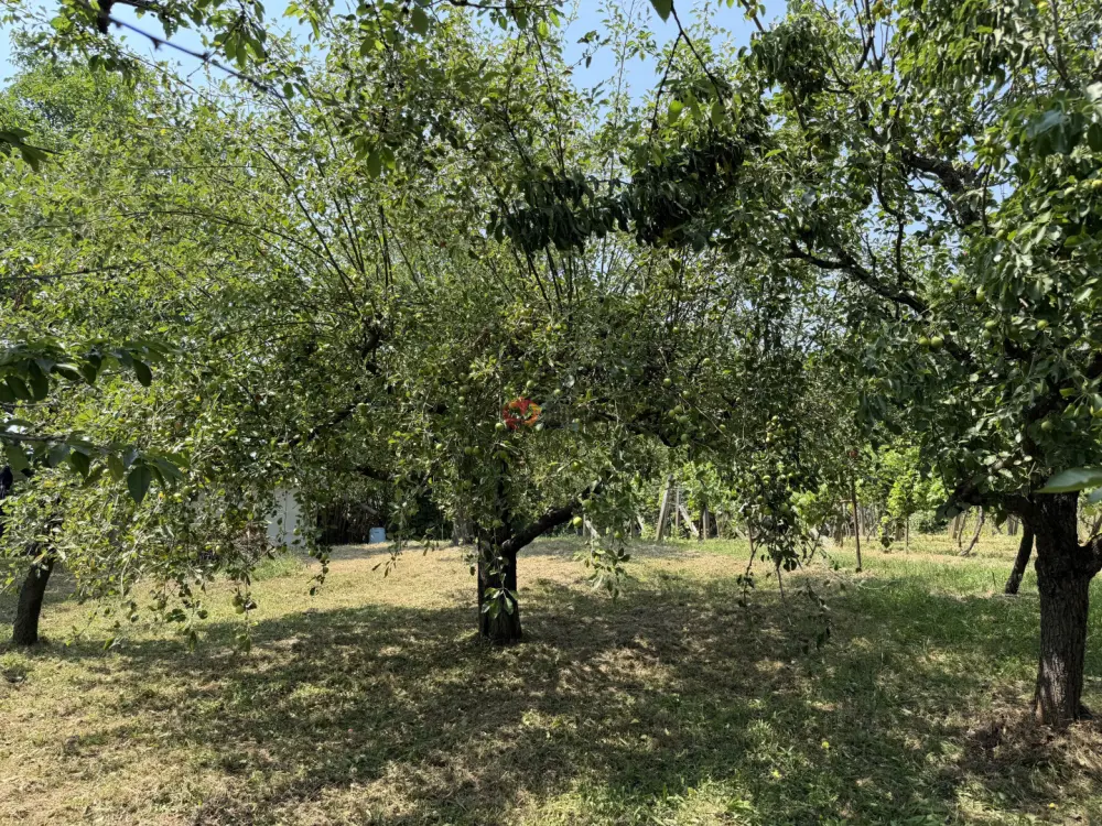 Zala megye - Nagykanizsa