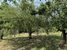 Zala megye - Nagykanizsa