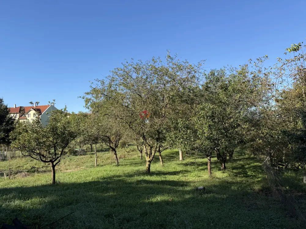 Zala megye - Nagykanizsa